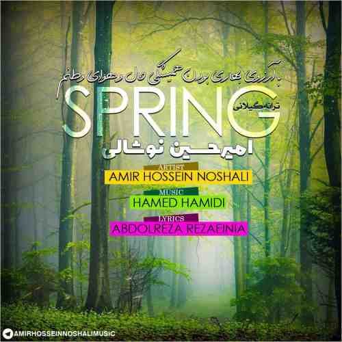 امیرحسین نوشالی بهار